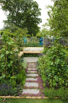 a garden with lots of plants and flowers