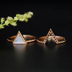 three different types of rings on a black surface with a plant in the background,