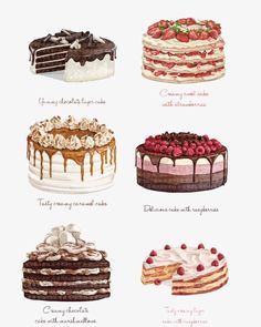 the different types of cakes are shown in this illustration, including one with chocolate and strawberry toppings