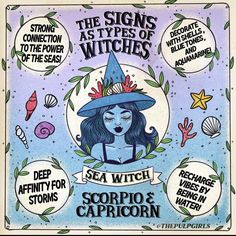 the signs as types of witches sea witch scorpio's capricon