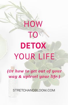 Many ambitious professional women are under tremendous pressure from juggle so many demands in life. Some come from society, however many are dues to sabotaging patterns. This article show you how to detox your life. Lifestyle Manifestation, Detox Kur, Full Body Detox, Homemade Detox, Spring Clean, Detox Cleanse, Detox Recipes, Feeling Stuck