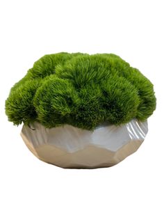 a white bowl filled with green grass on top of a table