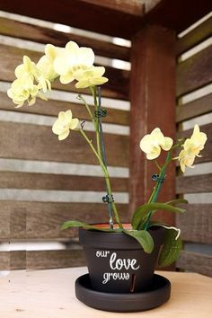 a small potted plant with yellow flowers in it