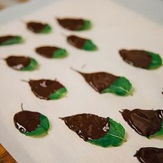 chocolate leaves are arranged on a sheet of white paper with green leaf sprinkles