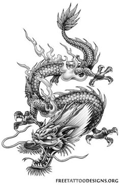 a black and white drawing of a dragon