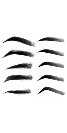 the different types of hair are shown in black and white, as well as long lashes