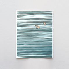 two birds flying over the ocean on a white background with blue and green lines in it