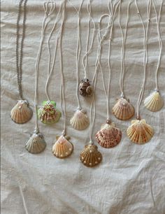 there are many seashells hanging from the string on this bed sheet, all different colors and sizes