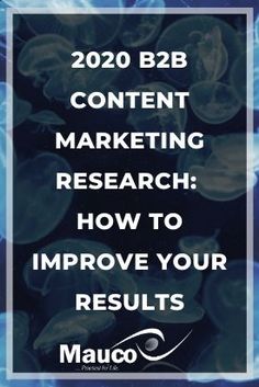 blue jellyfish with the words 2020 b2b content marketing research how to improve your results