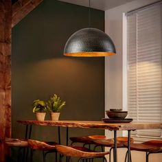 a dining room table with chairs and a potted plant