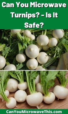 turnips and radishes with the words can you microwavewave turnips - is it safe?