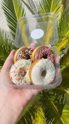 a hand holding a plastic container filled with donuts