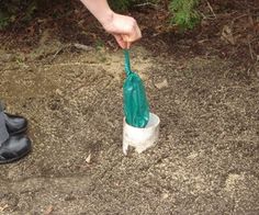 a person holding a plastic bag in their hand over a small white container filled with dirt