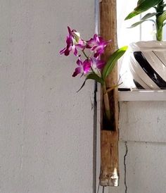 purple flowers in a vase sitting on a window sill next to a white wall