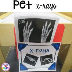 an x - rays display with the words dog and cat on it in front of a desk