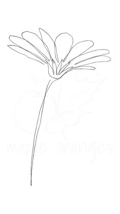 a drawing of a flower on a white background