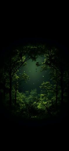 a dark forest filled with lots of trees and green light at the end of it