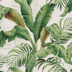 a wallpaper with green and red tropical leaves on white background in an upholstered pattern