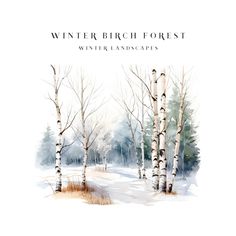 watercolor painting of trees in winter with the words winter birch forest written on it