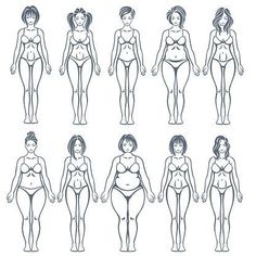 six different types of women's body shapes