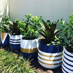 four planters with plants in them sitting on the ground next to a wall and grass