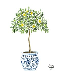 Potted Lemon Tree Art Print by Lindsay Brackeen | acrylic painting food
, kitchen artwork painting
, kitchen artwork painting
, acrylic painting kitchen art
, oil painting food
, kitchen paintings art wall decor
, kitchen paintings art wall decor bohemian
, fruit wall art
, fruit art print
, fruit painting prints
, abstract fruit painting
, fruit canvas painting Akvarel Illustration, Topiary Tree, Planting Tips, Soyut Sanat Tabloları, Watercolor Flower Art, Flower Gardens, Watercolor Art Lessons, Lemon Tree, Watercolor Inspiration