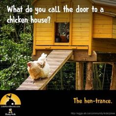 a chicken house with chickens in it and the words what do you call the door to a chicken house?