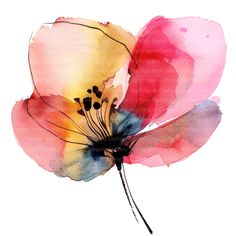 a watercolor painting of a flower on a white background