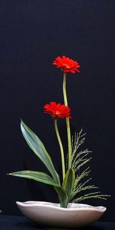 two red flowers are in a white bowl