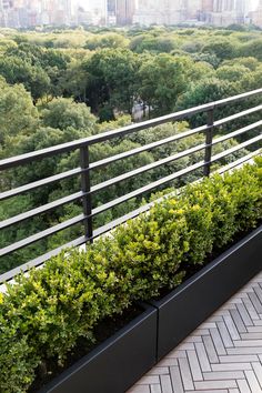 a balcony with plants on the side and a view of trees in the back ground