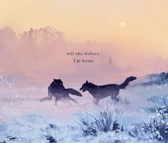 two wolfs running through the snow in front of a sunset with an inspirational quote