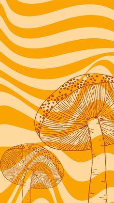 an orange and yellow background with two mushrooms