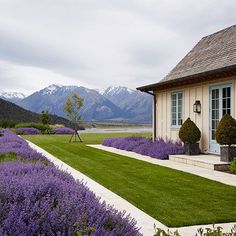 the house is surrounded by lavender bushes and mountains in the distance, with a walkway leading to it