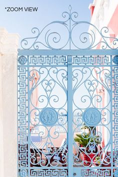 an ornate iron gate with potted plants in the middle and blue sky behind it