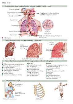 #urinaryincontinence Cardiopulmonary Resuscitation, Chronic Cough, Allergic Rhinitis, Latissimus Dorsi, Pharmacology Nursing, Reflux Disease, Nursing School Studying, Vagus Nerve