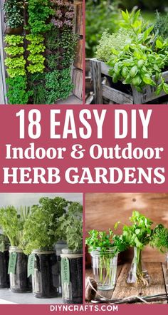 Veg Gardens, Growing Herbs At Home, Bottle Planters, Standing Garden, Herb Garden Wall, Diy Container, Homesteading Tips, Gardening Food, Gardening Indoors