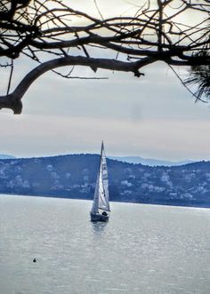 a sailboat is out on the water with mountains in the background and trees to the side