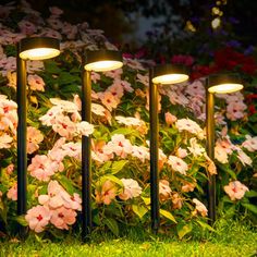 four garden lights in front of pink flowers