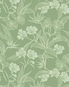 a green wallpaper with white flowers and leaves on the bottom right corner is a light green background