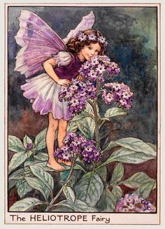 Mary Barker Fairies, Cecily Mary Barker, Flower Fairies Books, Fairy Artwork, Cicely Mary Barker, Magical Land, Fairy Figurines, Vintage Fairies