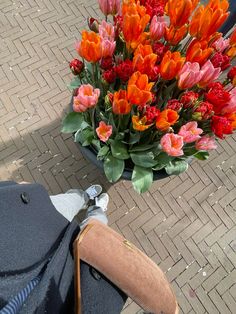 sunny day in amsterdam - tulip season Amsterdam Tulips, Tulip Season, Stockholm Fashion, Trendy Shoes, Sunny Days, Spring Flowers, Amsterdam, Sunnies, Tulips