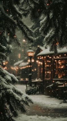 snow covered trees and benches in front of a lit up building with lights on it