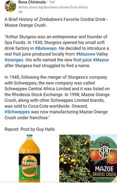 an image of orange juice and other items on the twitter page for buzzberry citrus