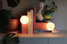 a lamp that is on top of a shelf next to some books and a potted plant