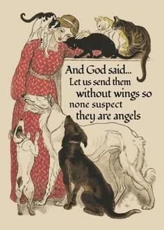 an old poster with cats and dogs on it's side, saying that god said let us send them without wings so none suspect they are angels