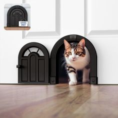 a cat is standing in front of an open door