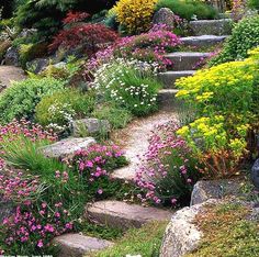 a garden filled with lots of flowers and rocks