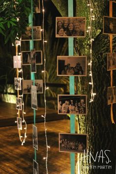 an instagram with pictures and string lights hanging from it's sides on a tree