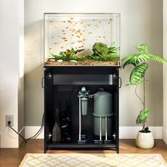 a fish tank sitting on top of a shelf next to a plant and a rug