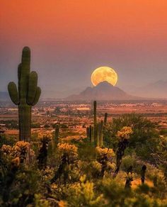 the full moon is setting over a desert landscape